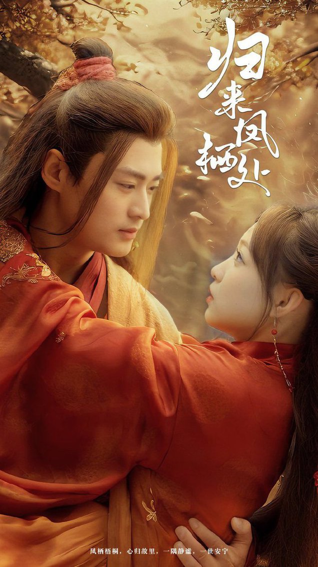 归来凤栖处第01-30集
