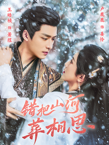 错把山河葬相思第31-60集(大结局)