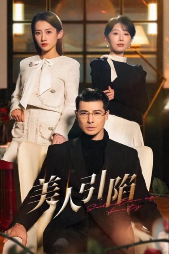 美人引陷第01-30集