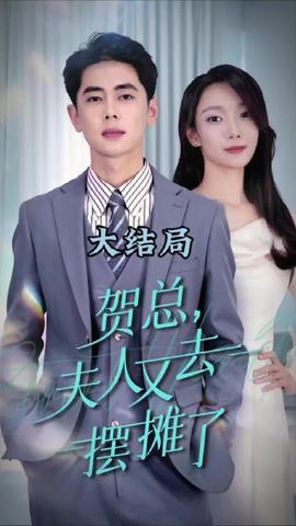 贺总夫人又去摆摊了全集(大结局)