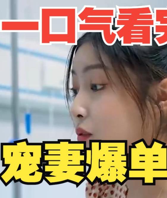 宠妻爆单全集(大结局)