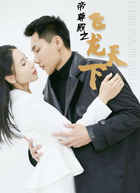 帝尊殿之飞龙天下第02集