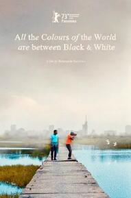 黑白之间是彩色世界